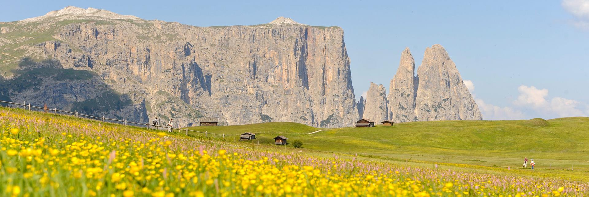 L'Alpe di Siusi e il massiccio dello Sciliar in estate