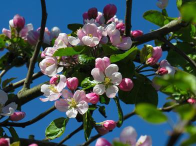 anastasiya-romanova-blljdgjwiek-unsplash