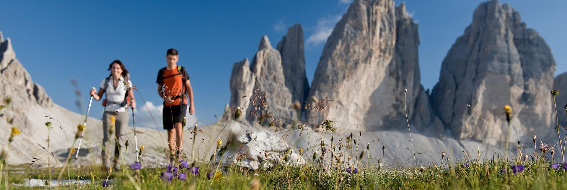 Two hikers walk across a flower meadow with the iconic Three Peaks in the background.